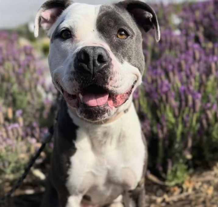 Photo of ROXY