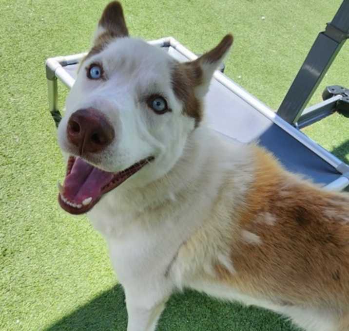 Photo of Max