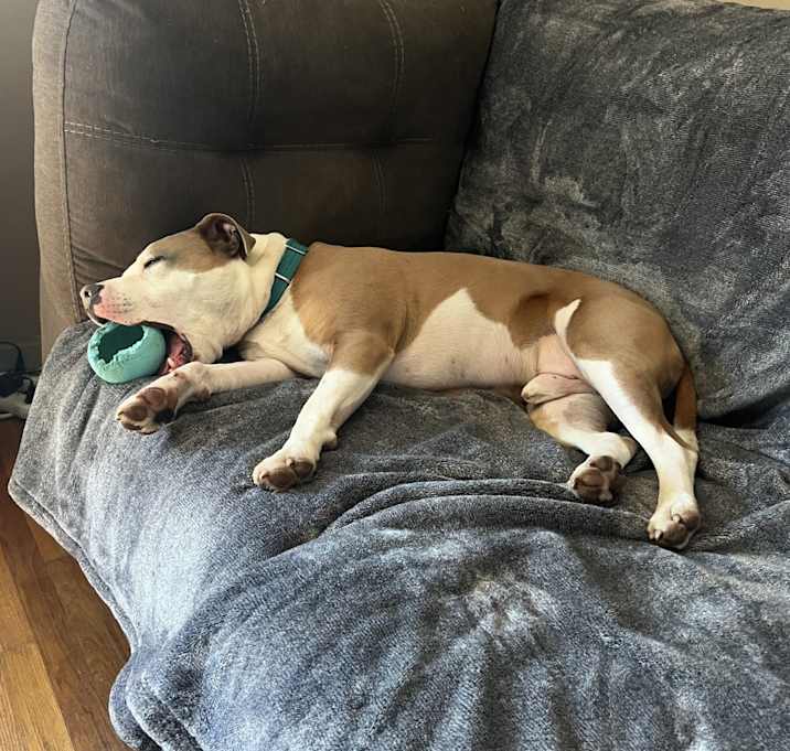 Photo of Ottis