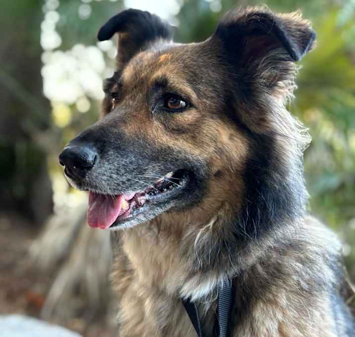Photo of Icy