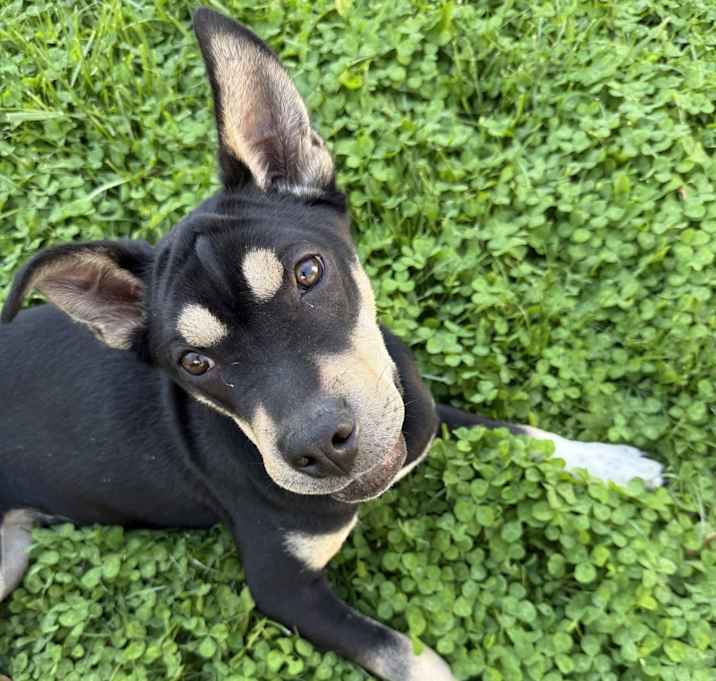 Photo of Lily
