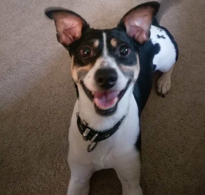 Photo of MICKEY