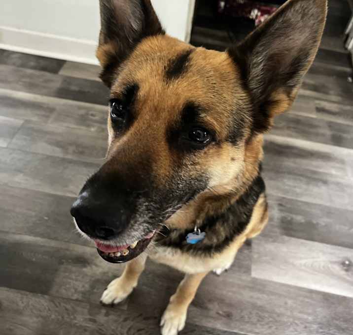 Photo of Taz