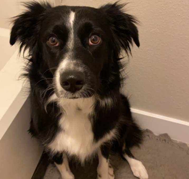 Photo of Kevin