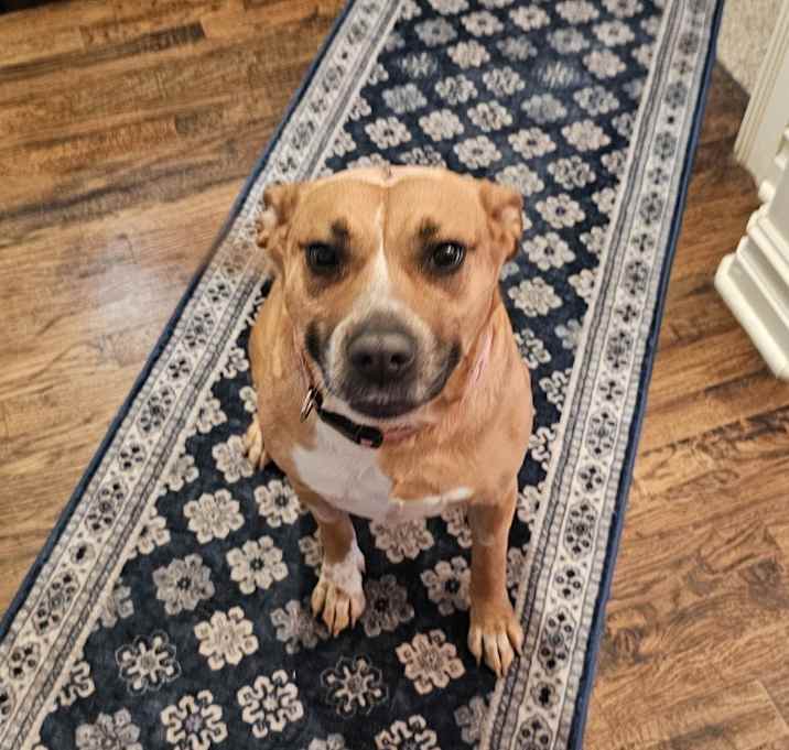 Photo of Lily
