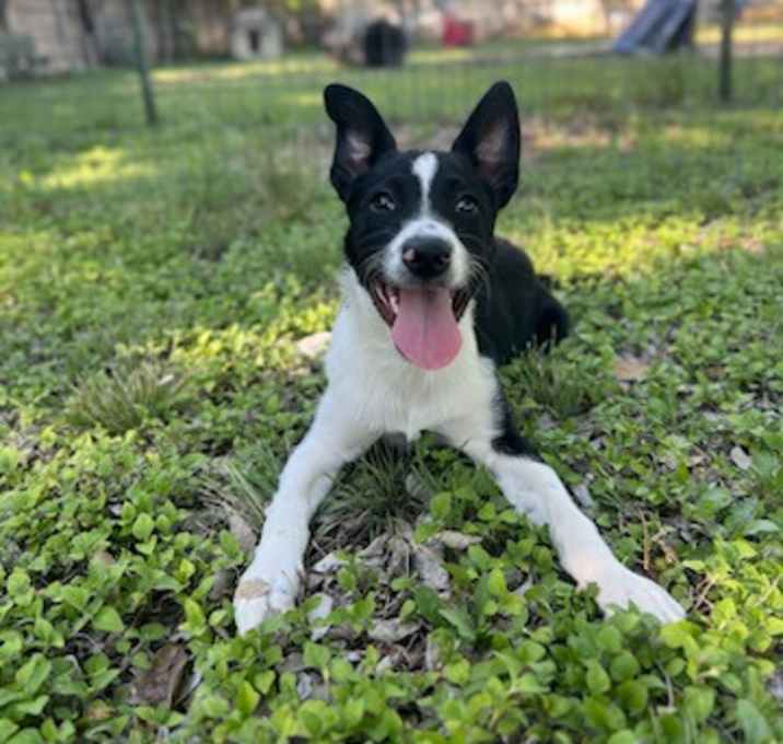 Photo of Maverick