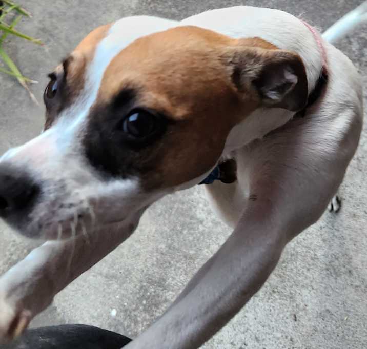 Photo of Sally