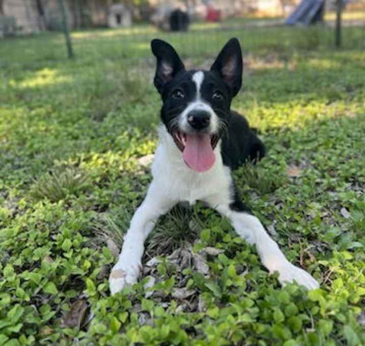 Photo of Maverick