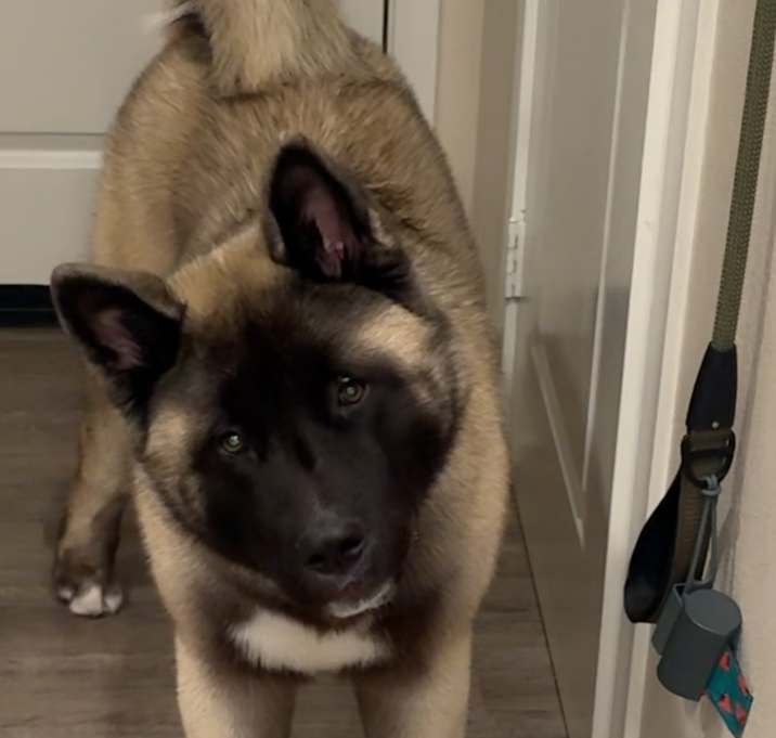 Photo of Zeus