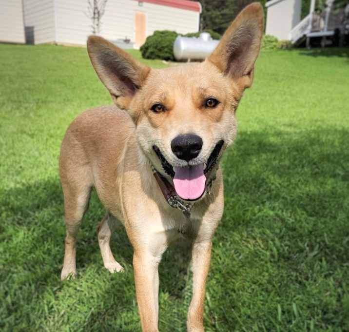 Photo of Blondie(Trailer Park Mom)
