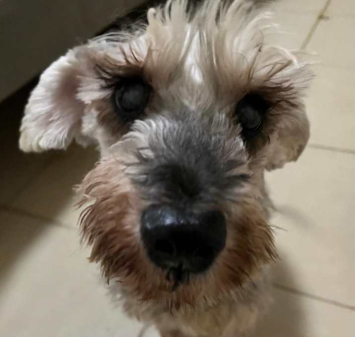 Photo of Bob