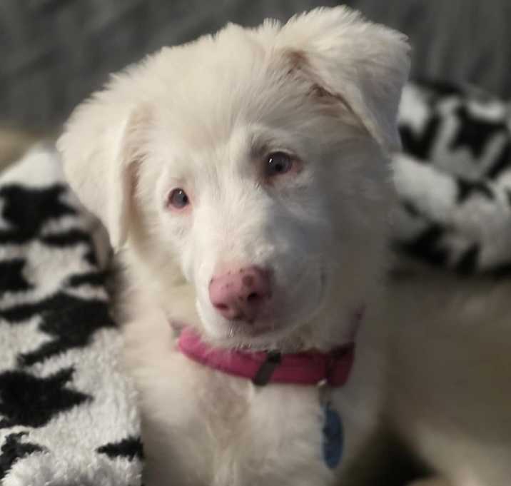 Photo of Julep