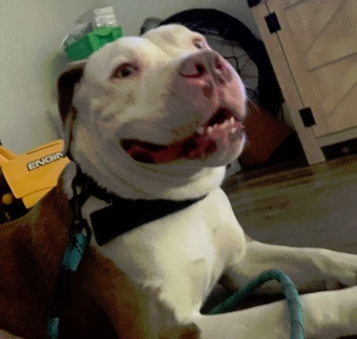 Photo of Chevy