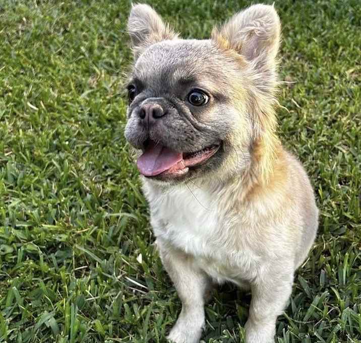 Photo of Zoei