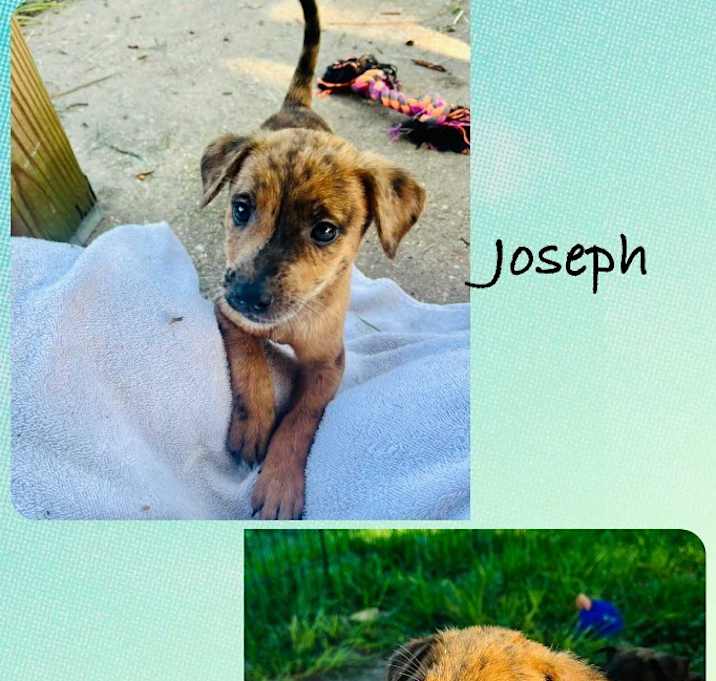 Photo of Joseph