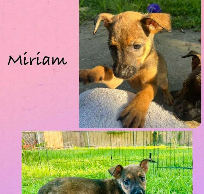 Photo of Miriam