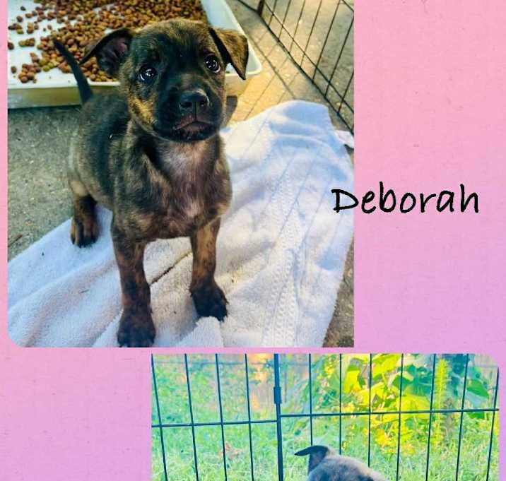 Photo of Deborah