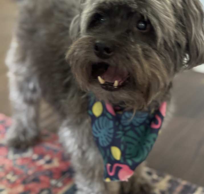 Photo of Harold