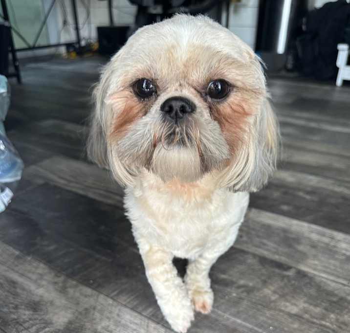 Photo of Zoey