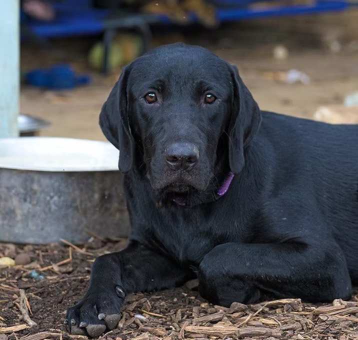Photo of Mabel