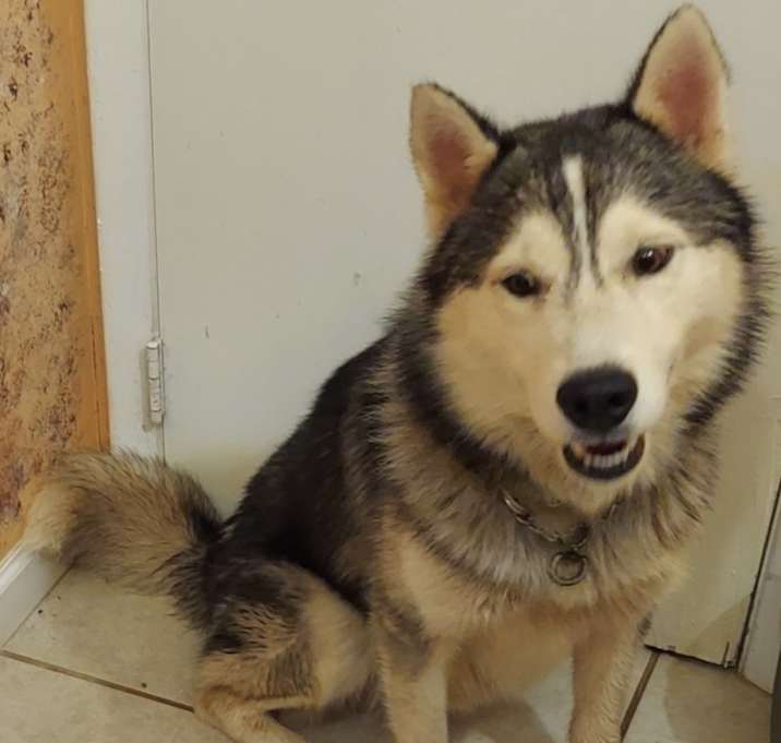 Photo of Wesson