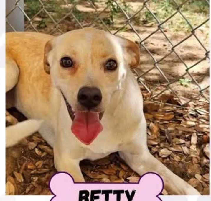 Photo of Betty