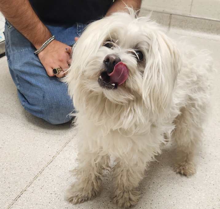 Photo of Bonbon