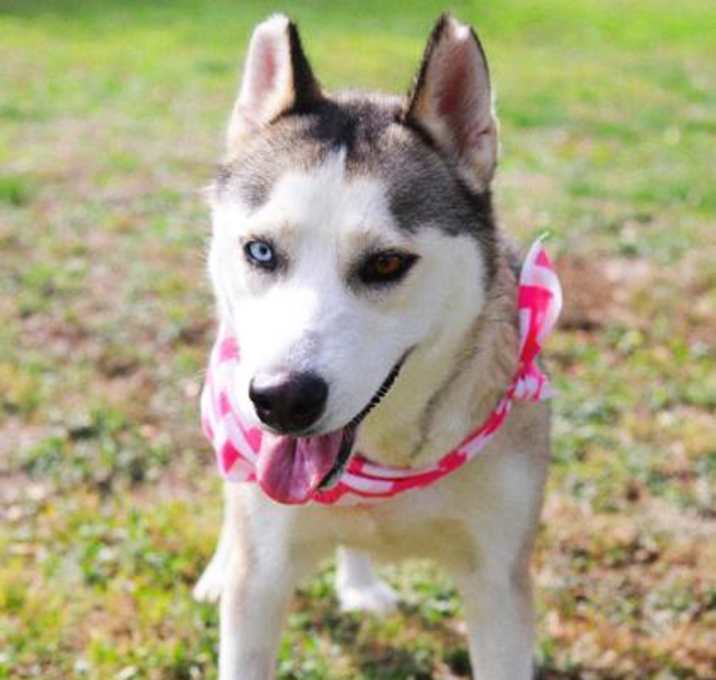 Photo of Lanna