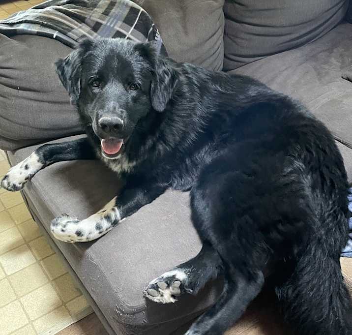 Photo of Maxi