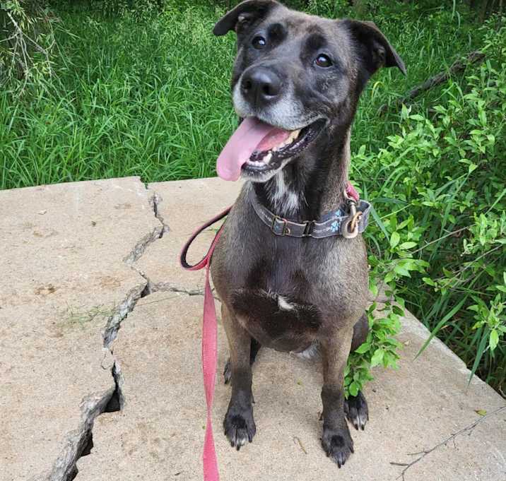 Photo of Olive