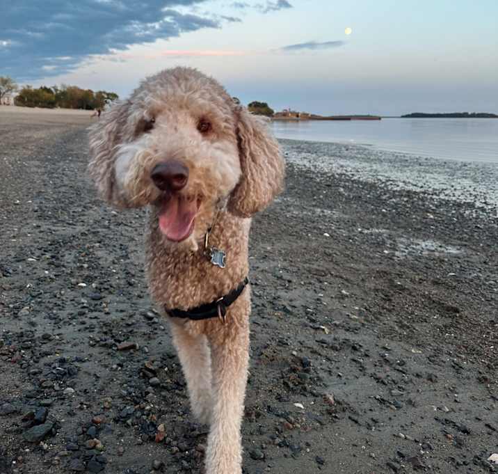Photo of Remington