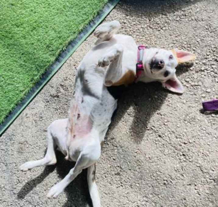 Photo of Chloe
