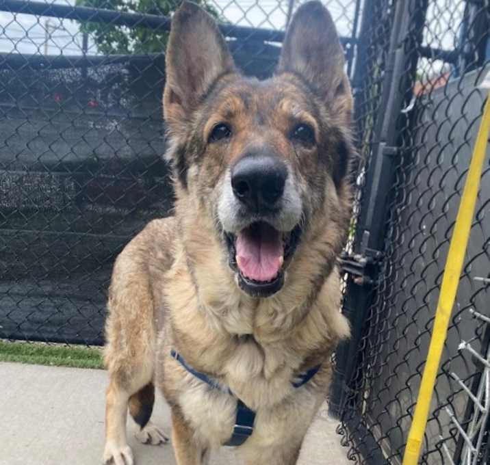 Photo of Trader