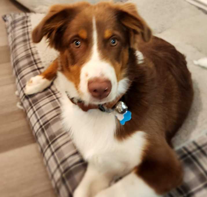 Photo of Churro