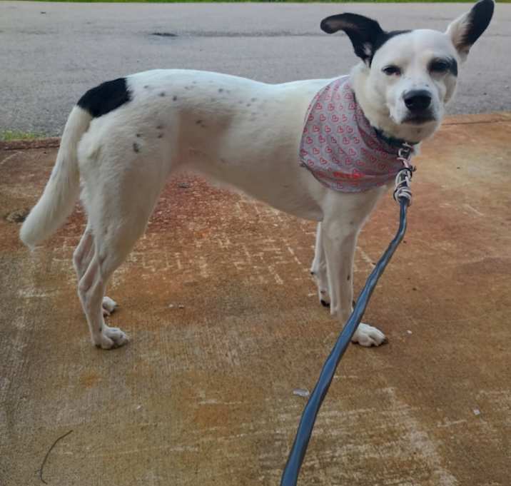Photo of Daisy Mae Penrod