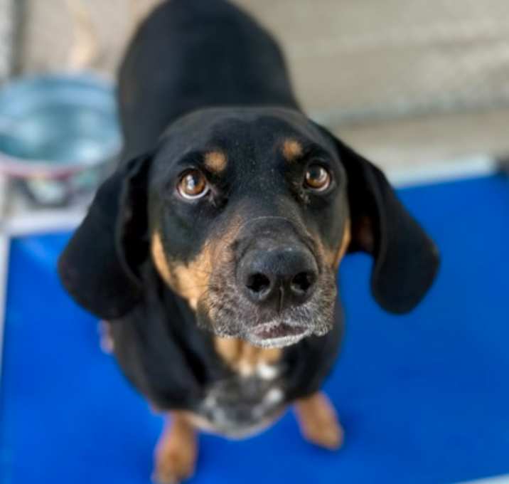 Photo of Honey