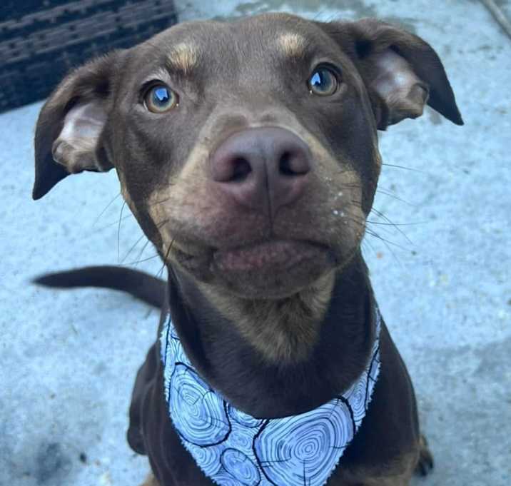 Photo of Bentley