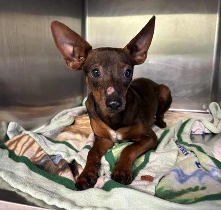 Photo of WALLY