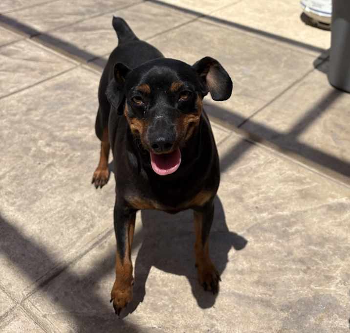 Photo of Chuy