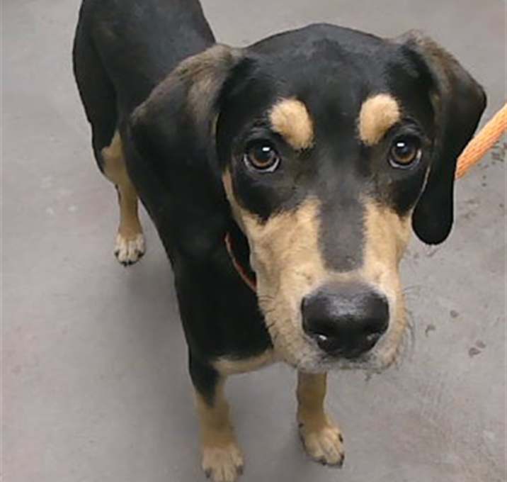 Photo of BANDIT