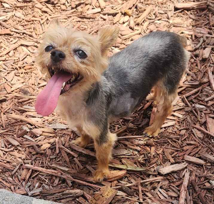 Photo of Charley
