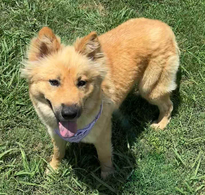 Photo of Polly