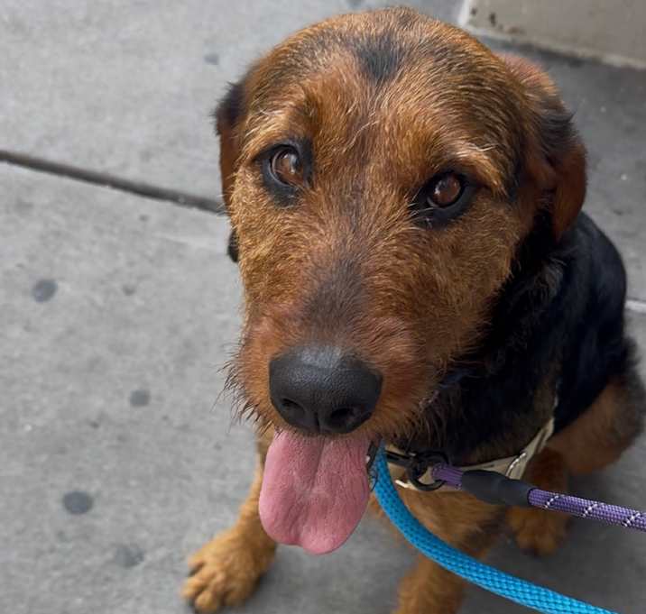 Photo of Caramel