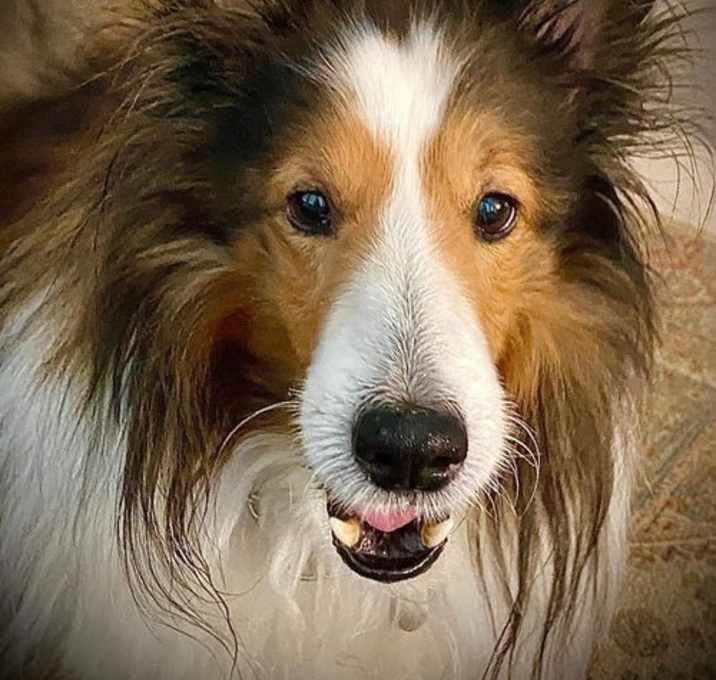 Photo of Max
