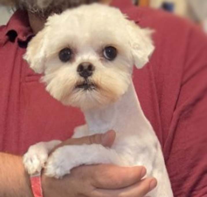 Photo of Karma