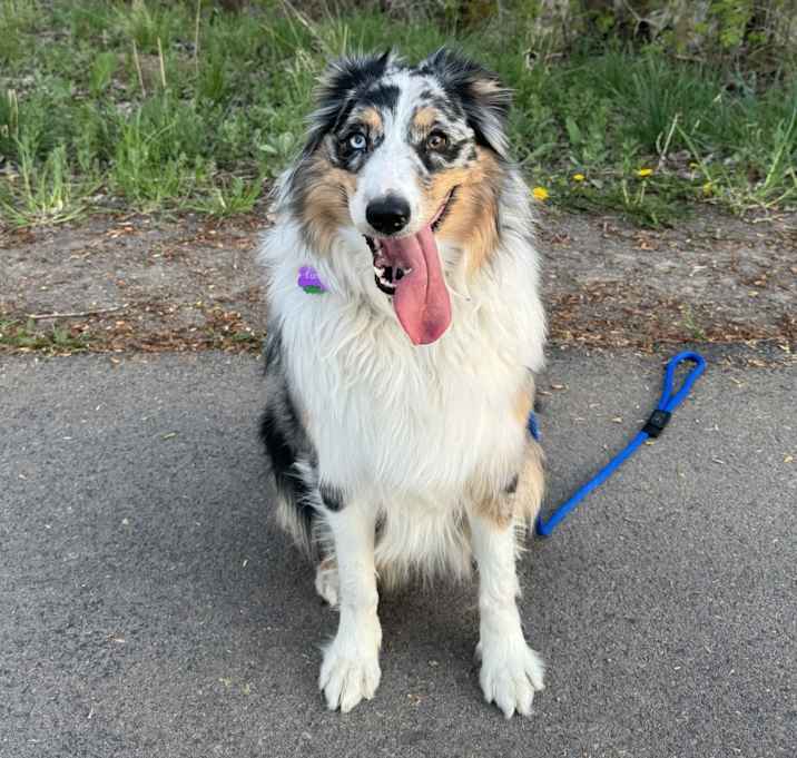 Photo of Luna
