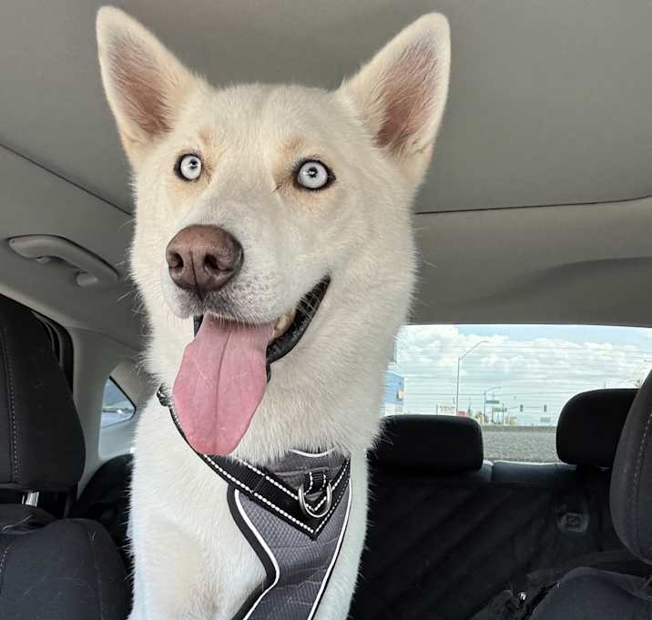 Photo of Finn