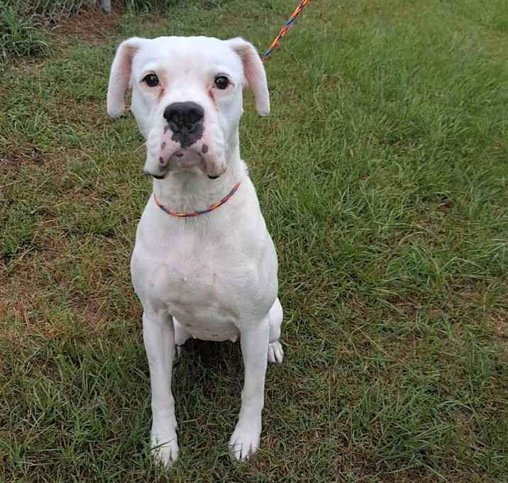 Photo of Luna