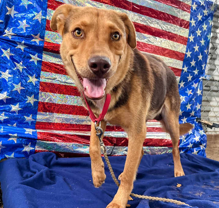 Photo of Salami Steve