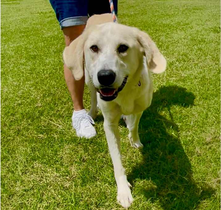 Photo of Penelope